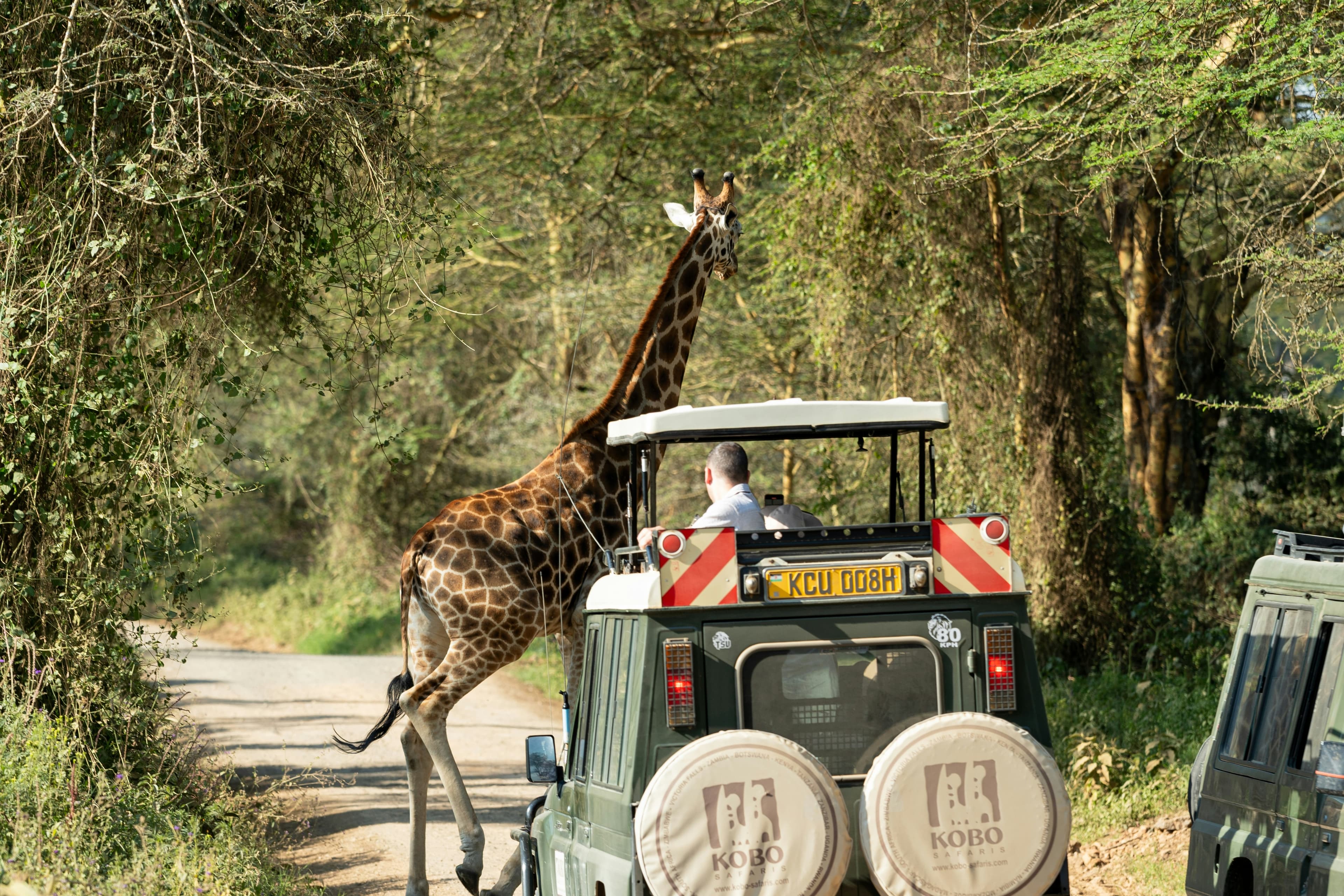 Dubai Desert Safari Experience