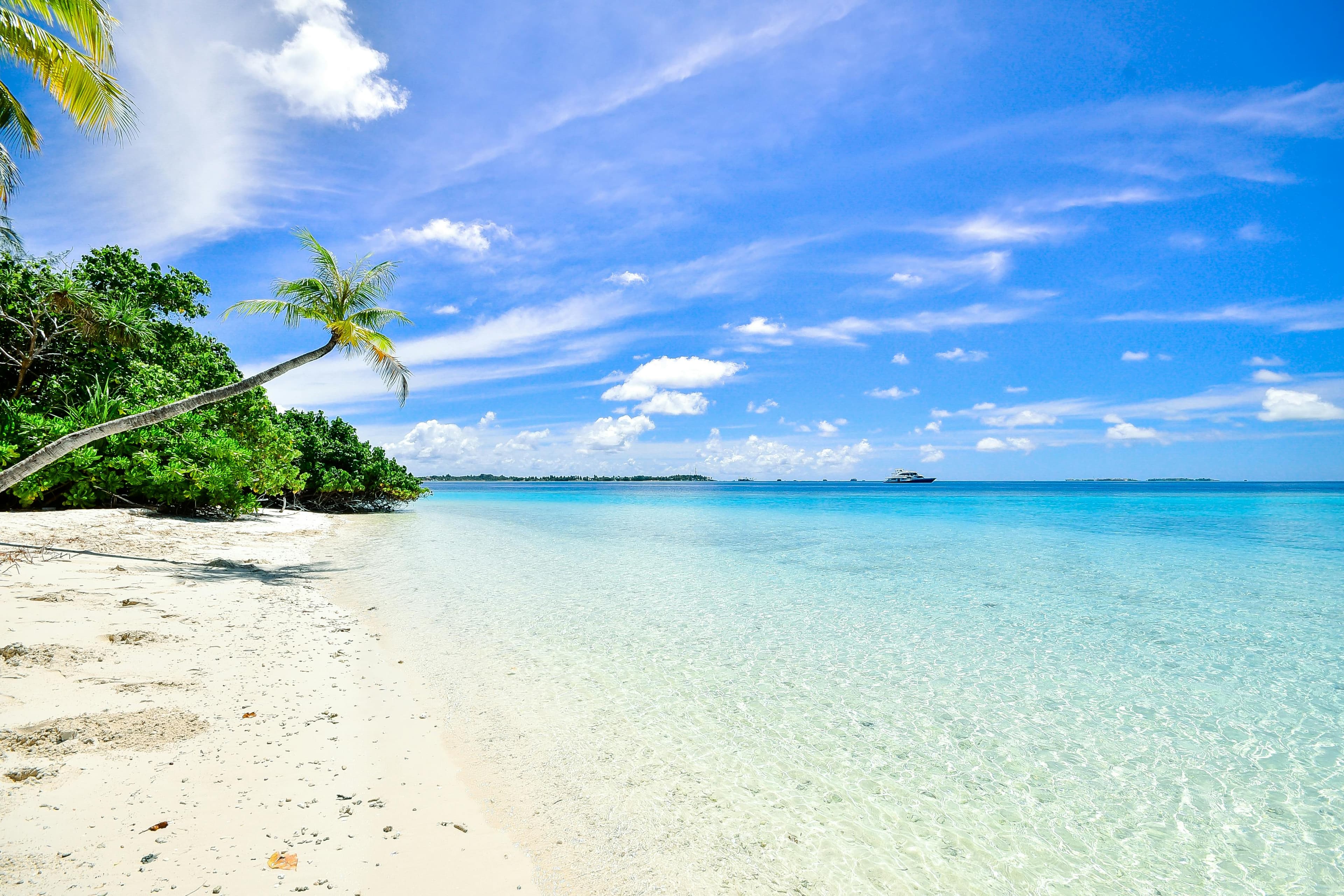 Island Hopping & Snorkeling